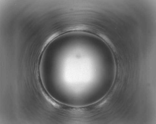 X0000082720850200702021443