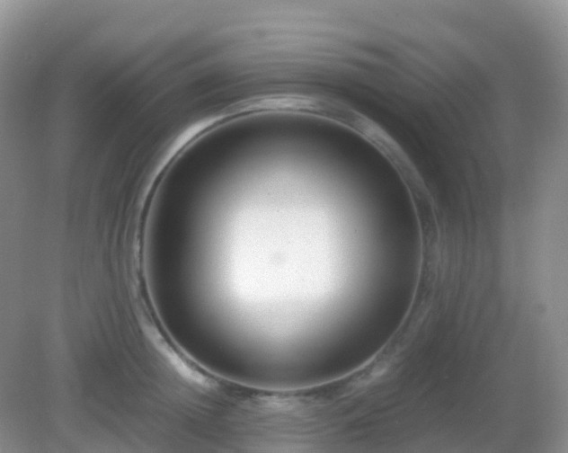 X0000082720852200702021443