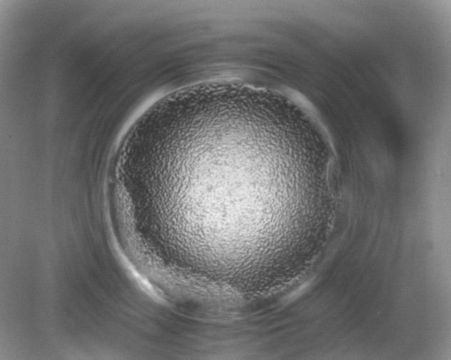 X0000082720859200702021443