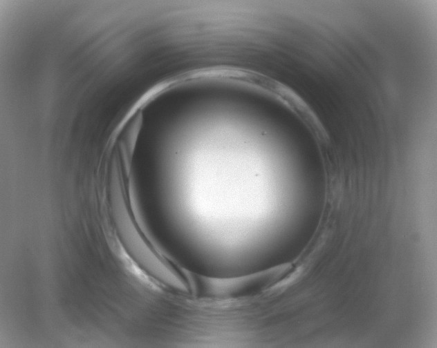 X0000082720860200702021443