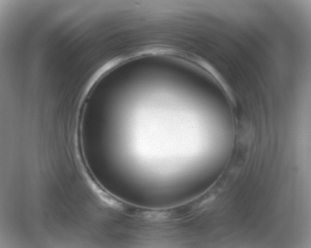 X0000082720861200702021443
