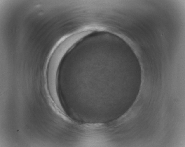 X0000082720864200702021443