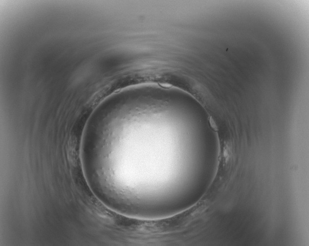 X0000082720867200702021442