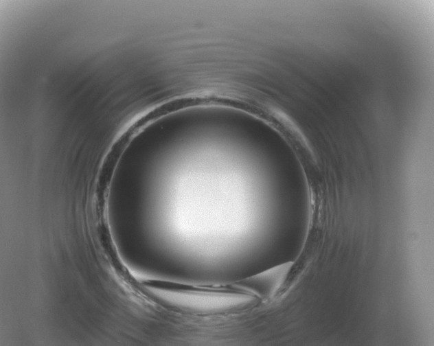 X0000082720876200702021442