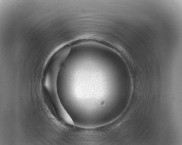 X0000082720880200702021442