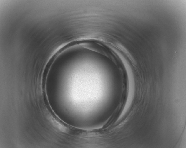 X0000082720884200702021442