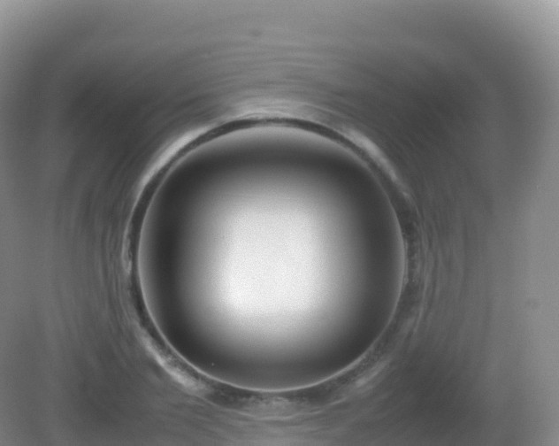 X0000082720885200702021442