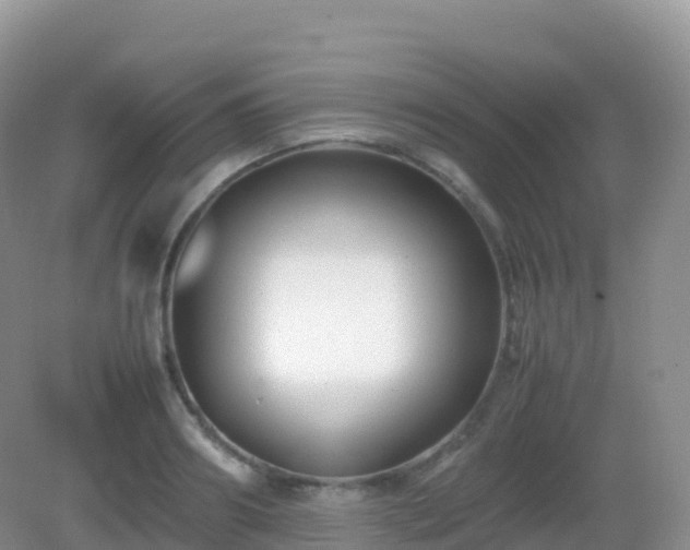 X0000082720890200702021442
