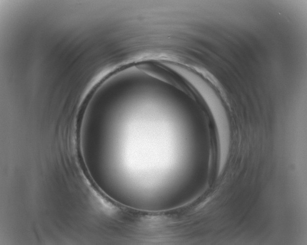 X0000082720894200702021442