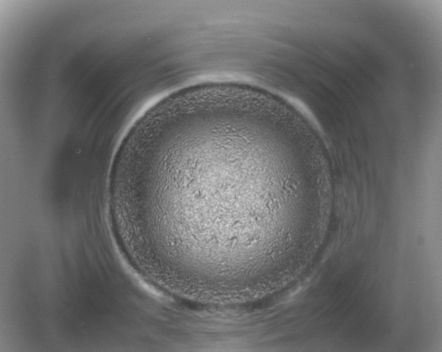 X0000082720895200702021442