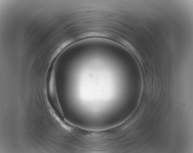 X0000082720898200702021442