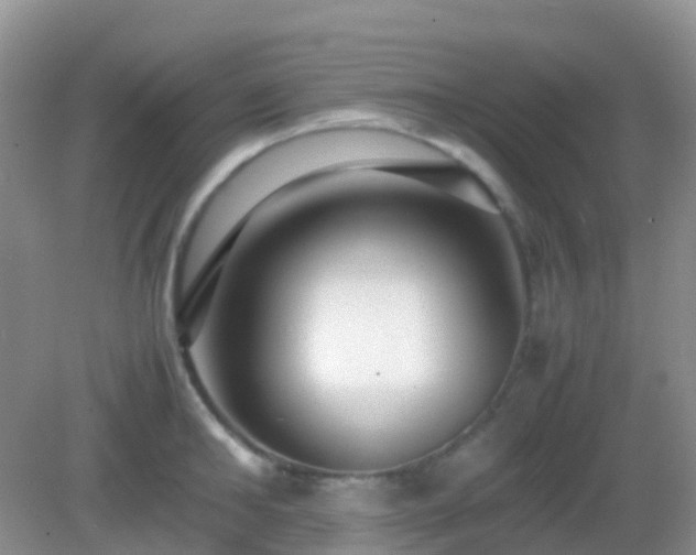 X0000082720902200702021442