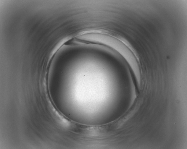X0000082720906200702021442
