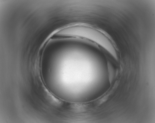 X0000082720910200702021442