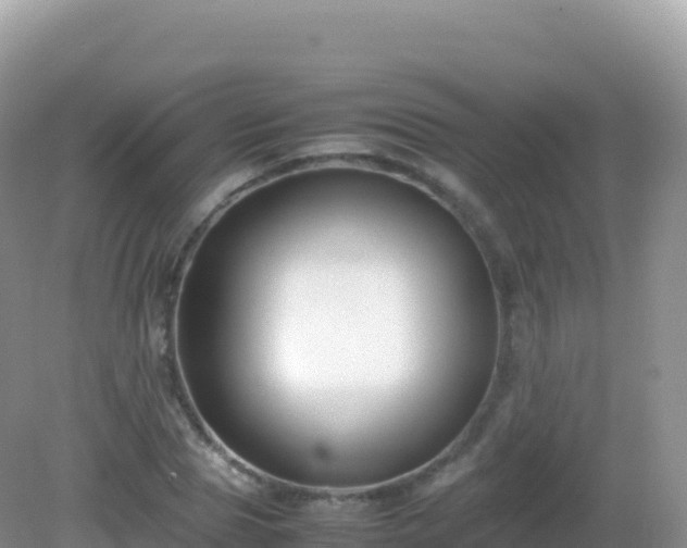 X0000082720929200702021441