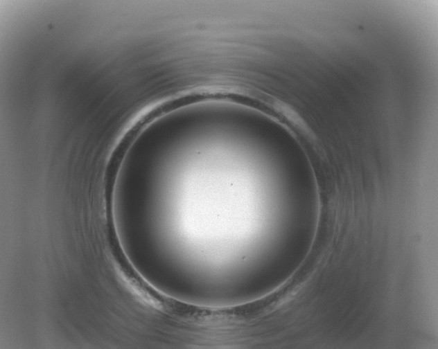 X0000082720934200702021441