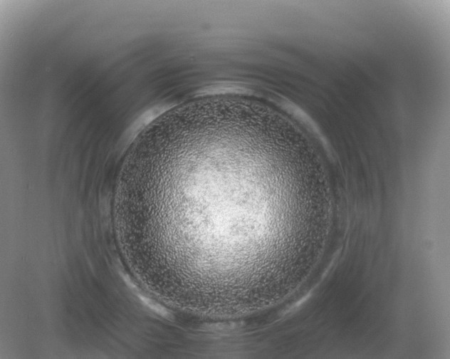 X0000082720937200702021441