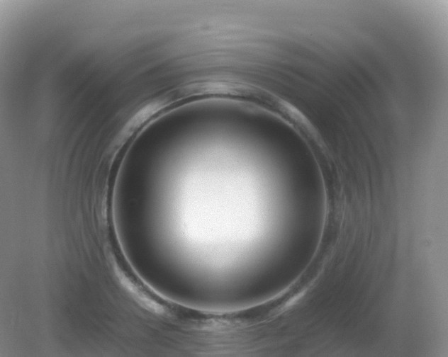 X0000082720938200702021441