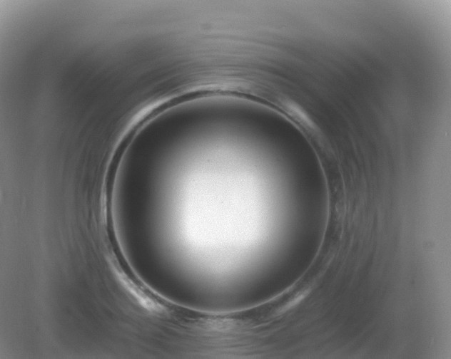 X0000082720940200702021441