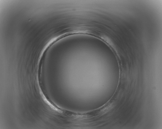 X0000082720941200702021441