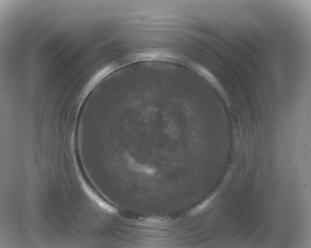 X0000082720946200702021441
