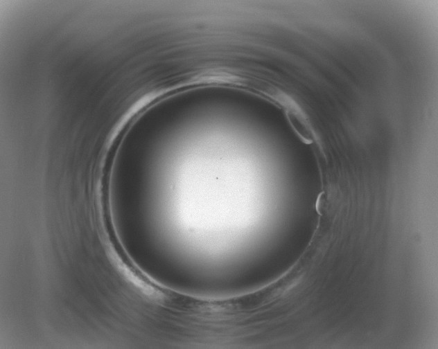 X0000082720947200702021441