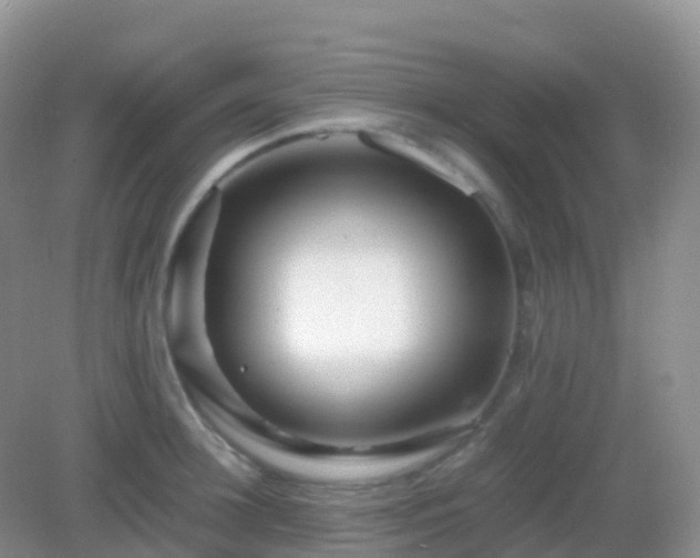 X0000082720948200702021441