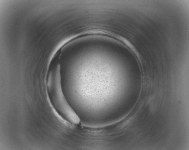X0000082720951200702021441
