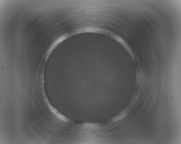 X0000082720954200702021441