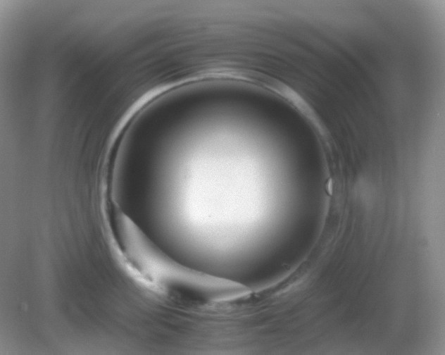 X0000082720955200702021441