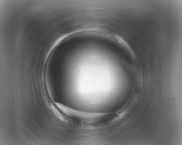 X0000082720956200702021441