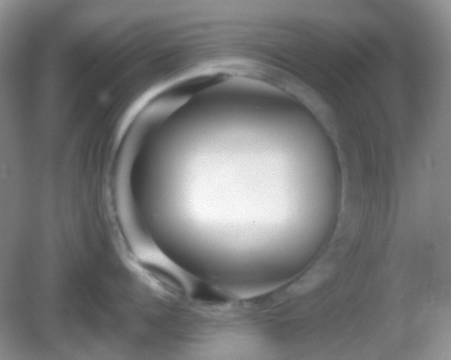 X0000082720960200702021442