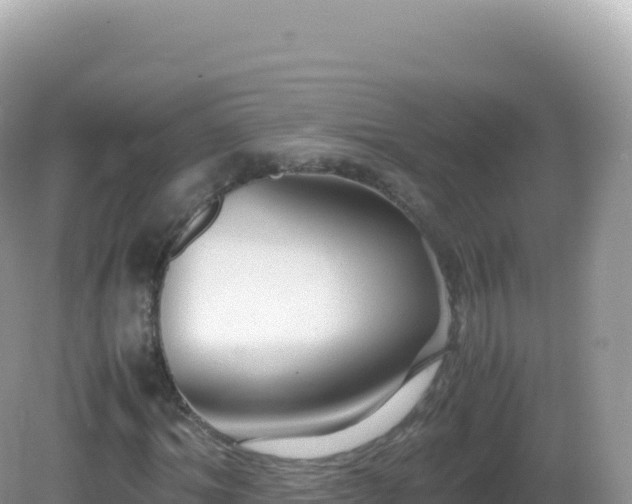X0000082720964200702021441