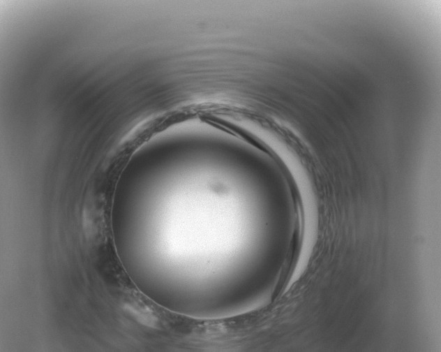 X0000082720968200702021441