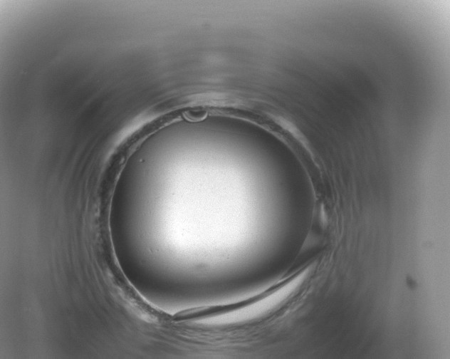 X0000082720971200702021441