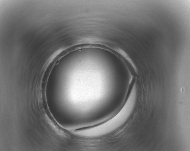 X0000082720972200702021441