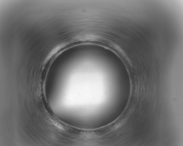 X0000082720978200702021440