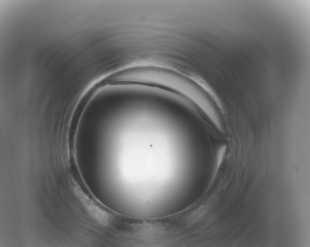 X0000082720980200702021440
