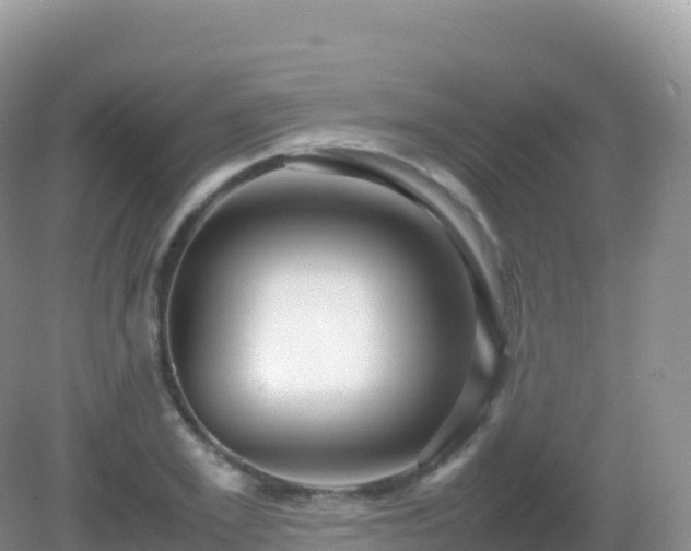 X0000082720981200702021440