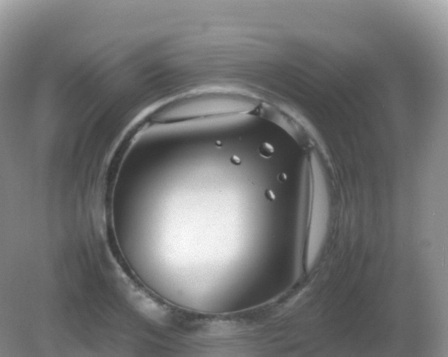 X0000082720984200702021440