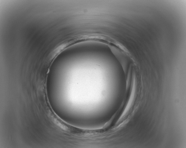 X0000082720985200702021440