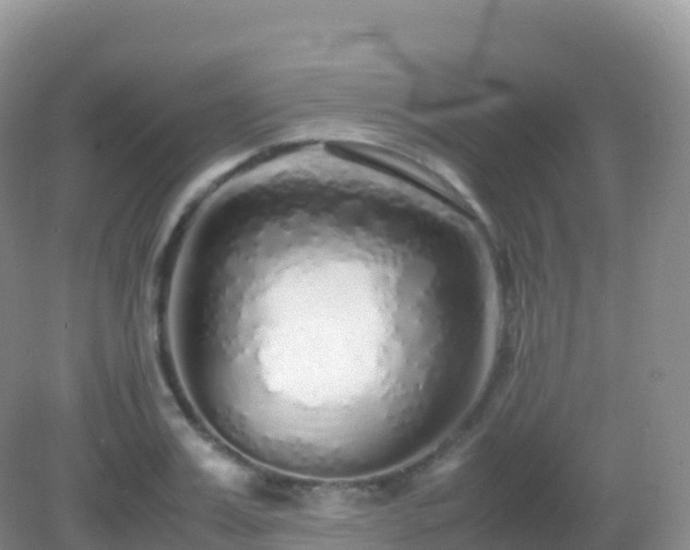 X0000082720987200702021440