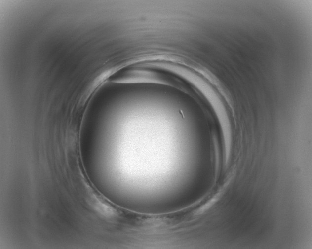 X0000082720993200702021440