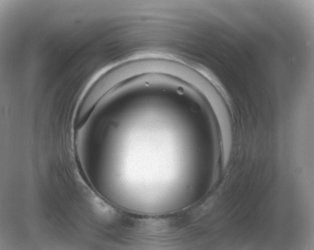 X0000082720996200702021440