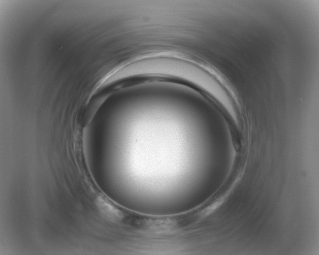 X0000082721001200702021440