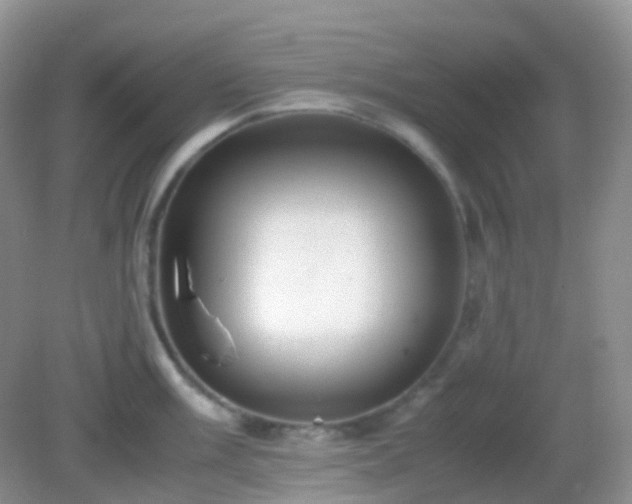 X0000082721003200702021440