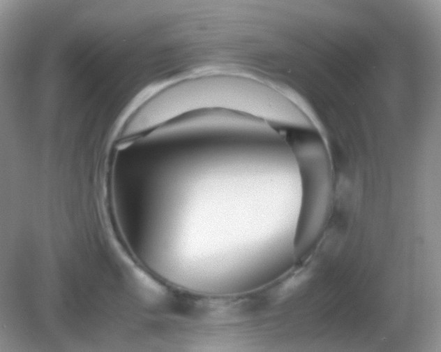 X0000082721005200702021440