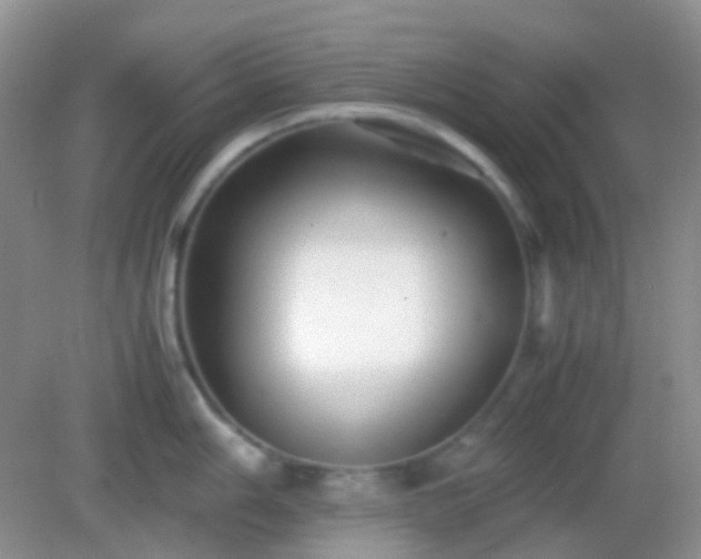 X0000082721006200702021440