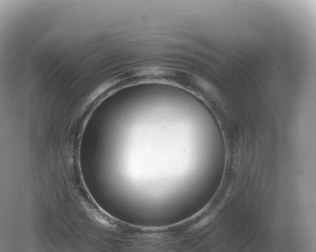 X0000082721017200702021439