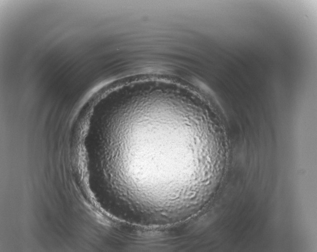 X0000082721019200702021439